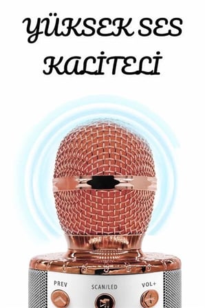 Şarjlı ve Uzun Pil Ömürlü Karaoke Mikrofon USB Bellek Destekli, Profesyonel Ses -