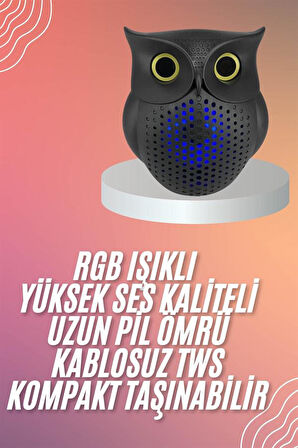Müzik Çalar Bluetooth Hoparlör Speaker 5.0 Kablosuz Baykuş Görünümlü