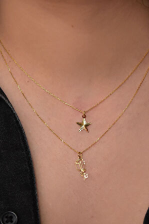 925 Ayar Gümüş Altın Kaplama Kristal Kesim Yıldız Ve Yapraklı Gül Asansörlü Kolye