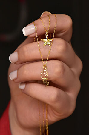 925 Ayar Gümüş Altın Kaplama Kristal Kesim Yıldız Ve Yapraklı Gül Asansörlü Kolye