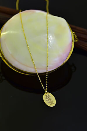 925 Ayar Gümüş Altın Kaplama Zeytindalı Plaka Kadın Kolye