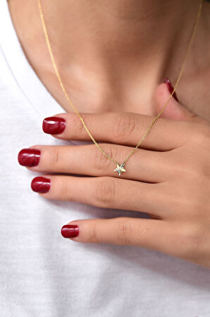 925 Ayar Gümüş Altın Kaplama Kristal Kesim Yıldız Kolye