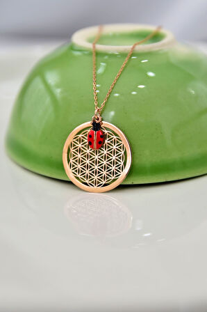 925 Ayar Gümüş Uğur Böceği Ve Yaşam Çiçeği Kolye