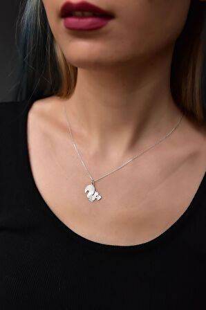 925 Ayar Gümüş Rodyum Kaplama Kristal Kesim Fındık Kurdu Sincap Kolye