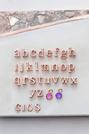 925 Ayar Gümüş Rose Mini Üç Boyutlu S Harfi Kalp Doğum Taşlı Kolye