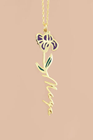 925 Ayar Gümüş Gold Kaplama Özel Tasarım Mineli Doğum Şubat Ayı Çiçeği, Isim Kolye