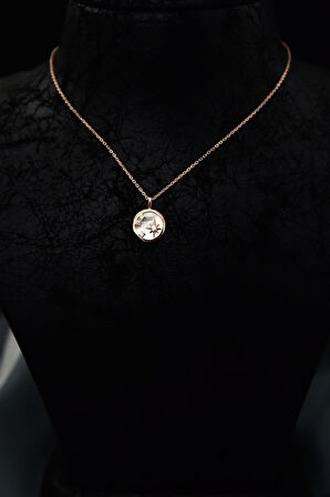 925 Ayar Gümüş Rose Kaplama Plaka Üzeri Zirkon Taşlı Kutup Yıldızı Kolye