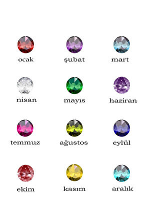 925 Ayar Gümüş Rose Kaplama Ortası Zirkon Doğum Taşlı , 0,08 Karat Pırlanta Çerçeveli Yuvarlak Kolye