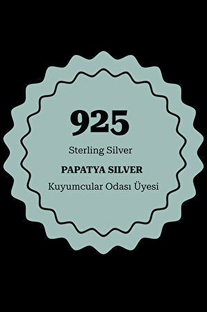 925 Ayar Gümüş Hareketli Kanat Kolye Pembe Taşlı Kalp