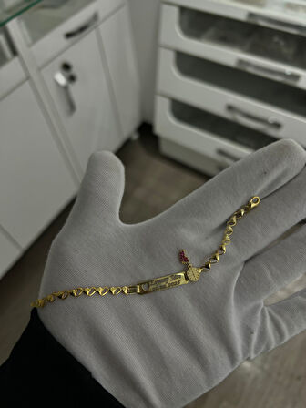 925 Ayar Gümüş Uğur Böcekli Pembe Ayaklı Kız Bebek Künyesi