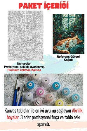 Sayılarla Boyama Tuval Seti Fırça Boya Dahil (Çıtalı) 40x50 CM - UYUYAN KEDİ