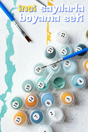 Sayılarla Boyama Tuval Seti Fırça Boya Dahil (Çıtalı) 40x50 CM - UYUYAN KEDİ