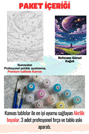 Sayılarla Boyama 40x50 Tuval Fırça Boya Dahil UZAY GÖKYÜZÜ