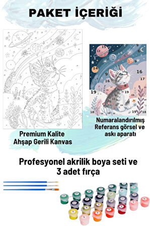 Sayılarla Boyama Seti Numaralı Tuval Fırça Boya 40x50 Cm - UZAY VE KEDİ
