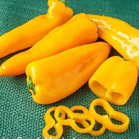 Nadir Ata Tohumları Geleneksel Acı Yellow Jalapeno Biber Tohumu  (10 adet)