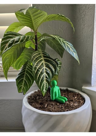 Meccha Chameleon Oyun Karakteri Gizlenen Figür