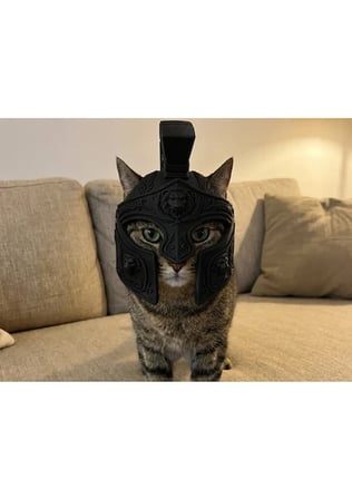 Roma Centurion Kedi Miğferi
