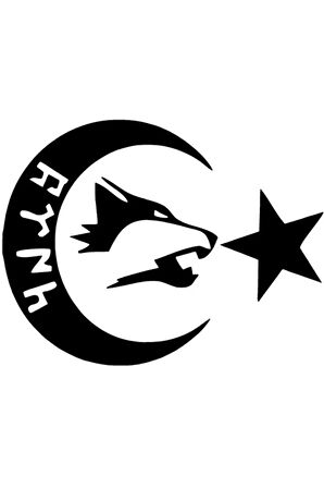 Göktürkçe Ay Yıldız Sticker (Oto-Motor-Laptop-Duvar-Dekor) 20 x 16 cm