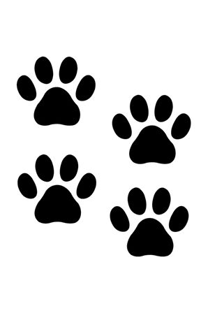 Kedi Pati İzi Oto Motor Laptop Duvar Folyo Sticker 50 x 55