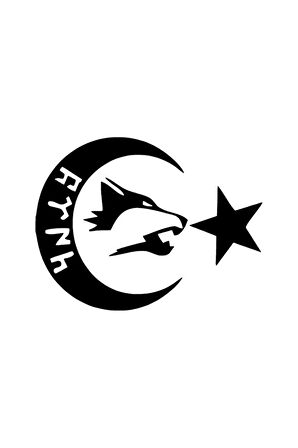 Göktürkçe Ay Yıldız Oto özel yeni sticker Siyah 30 x 24 cm