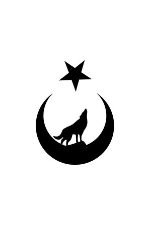 Kurt Ay Yıldız - Araç, Oto, Laptop, Duvar Uyumlu Sticker 10*13 Cm