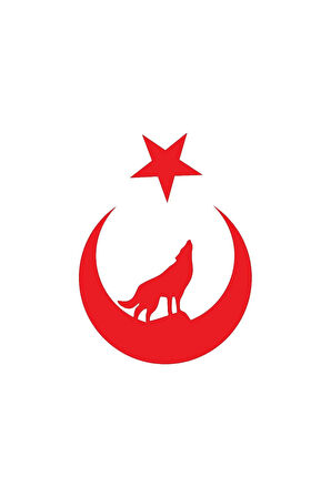 Kurt Ay Yıldız - Araç, Oto, Laptop, Duvar Uyumlu Sticker 10*13 Cm