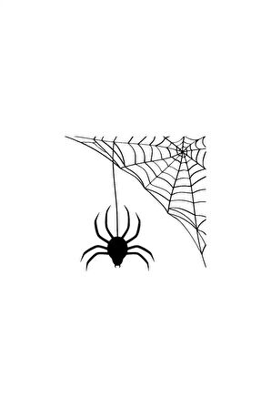 Örümcek Ağ Yapmış - Araç, Oto, Laptop, Duvar Uyumlu Sticker 25*22 Cm