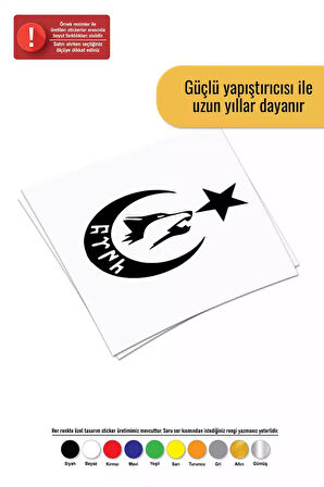Göktürkçe Türk Yazılı Ay Yıldız - Araç, Oto, Laptop, Duvar Uyumlu Sticker 10*8 Cm