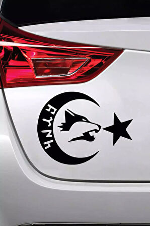 Göktürkçe Türk Yazılı Ay Yıldız - Araç, Oto, Laptop, Duvar Uyumlu Sticker 10*8 Cm