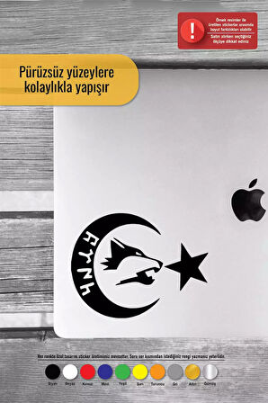 Göktürkçe Türk Yazılı Ay Yıldız - Araç, Oto, Laptop, Duvar Uyumlu Sticker 10*8 Cm