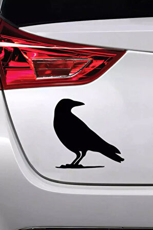 Karga Sticker Oto Motor Laptop Duvar Folyo Sticker 20 X 20 Cm