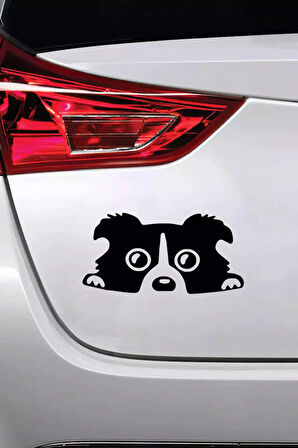 Camdan Bakan Köpek - Araç, Oto, Laptop, Duvar Uyumlu Sticker 20*10 Cm