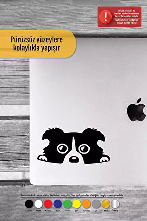 Camdan Bakan Köpek - Araç, Oto, Laptop, Duvar Uyumlu Sticker 20*10 Cm