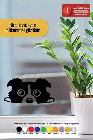 Camdan Bakan Köpek - Araç, Oto, Laptop, Duvar Uyumlu Sticker 20*10 Cm