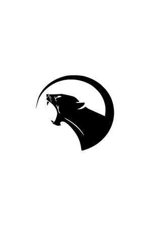 Puma Oto özel yeni sticker Siyah 30 x 30 cm  Uyumlu