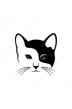 Bıyıklı Kedi Sticker 10 x 10 cm