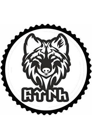 Kurt Ve Köktürkçe Türk Yazısı Tasarım Sticker 10 x 10 cm