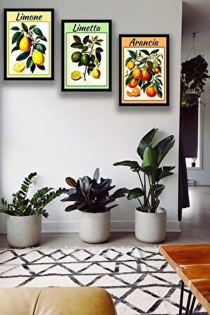 Meyve Turunçgil Şık Çerçeve Görünümlü Tablo Modeli, Dekoratif Süs, Ev ,oturma Odası, Ofis Dekoru