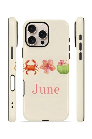 iPhone 16 Pro Vorian Çift Katmanlı Kılıf June Seaside