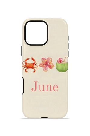 iPhone 16 Pro Vorian Çift Katmanlı Kılıf June Seaside