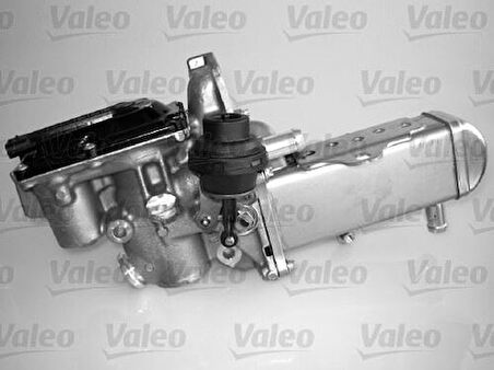 Valeo 700436 EGR Valfi A4 A6 Q5 2.0TDI Cjca Cjcb Cjcd Cglc Cgld Cmgb Cgle 08- 03L131512BQ