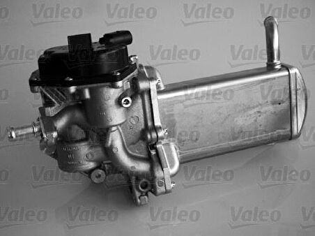 Valeo 700439 EGR Valfi Amarok 2.0TDI CDBA Cnfa CDCA 10- 03L131512DL