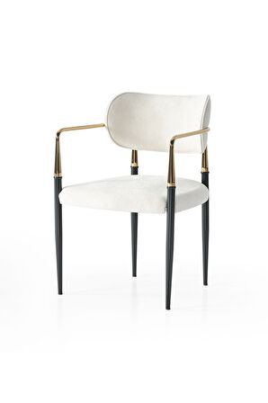 Vellario Metal Kol Detaylı Sandalye 2 Adet – Gold Siyah Metal Ayak, 57 x 57 x 81 cm