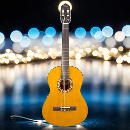 Valencia VC204H Klasik Gitar
