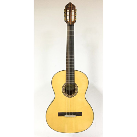 VALENCIA VC564