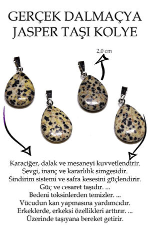 Sertifikalı Damla Model Dalmaçya Bıldırcın Jasper Taşı Kolye (Gümüş Aparatlı)