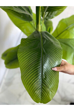 160cm 3 Gövdeli Yapay Ağaç Muz Ağacı Yapay Starliçe 160cm 3 Gövdeli