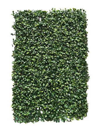 VEAL STORE 10 Adet Yapay Bitki Duvar Kaplama Panel Şimşir Tabaka 40x60 Cm Yeşil Dikey Bahçe