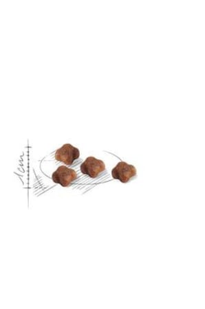 Royal Canin Mother&babycat 4kg Kuru Kedi Maması