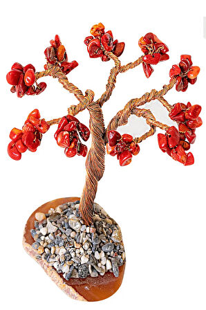 Sertifikalı Gerçek Kırmızı Mercan Taşı Ağaç - Akik Plakalı